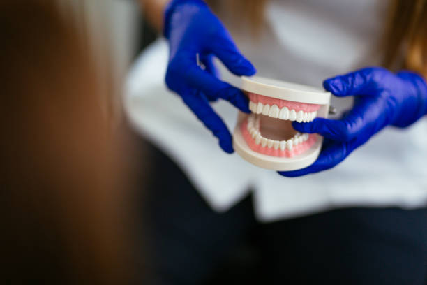 Reliable New Hackensack, NY Dental Services Solutions